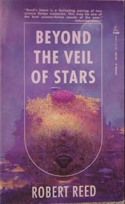 Beyond the Veil of Stars cover
