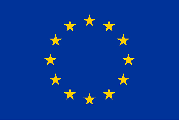 The EU flag, showing 12 yellow stars in a circle on a blue background